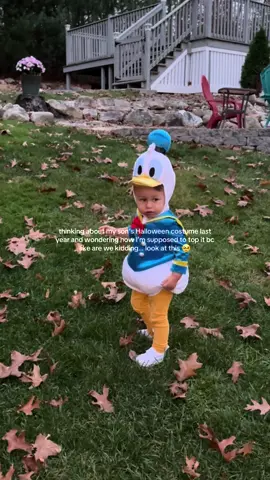 this years will be cute but idk if this would ever be beat #halloweencostume #halloween #toddlersoftiktok 