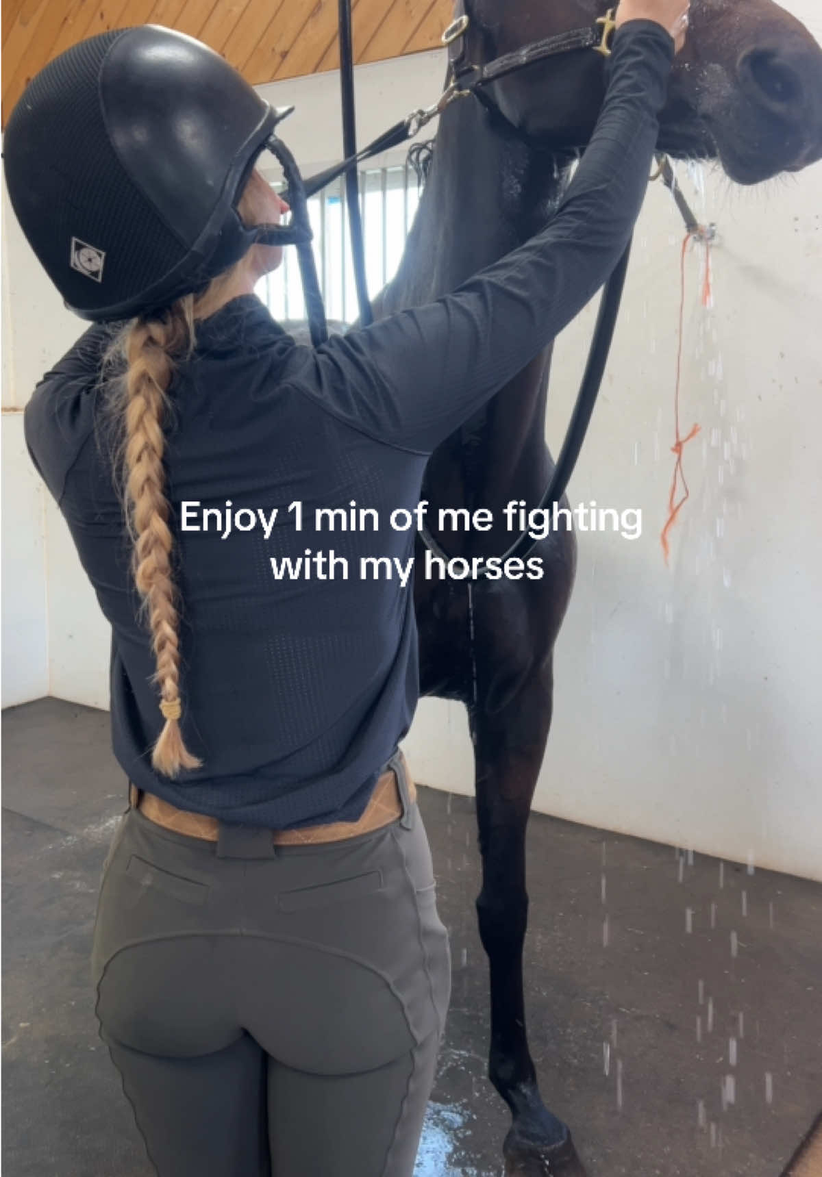 The film studio does not have a quiet set rule apparently  #fyp #equestrian #horses #funny 