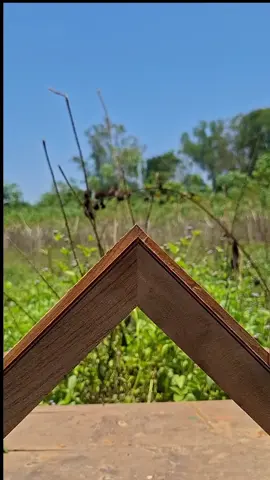 changing different shapes of wood into the same shape ..  #woodworking   #carpenter   #project   #reels   #fyp #woodworking #wood #woodproject #woodcarving #finewoodworking #carpenter #DIY #art #woodwork #woodworkcommunity #woodcraft #tips  #woodworkingideas #woodworkingproject 