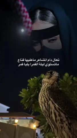 #تصميم_فيديوهات🎶🎤🎬 #Explore #fyp #Viral #شيلات 