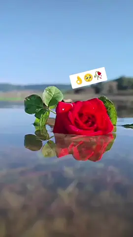 👌🥺🥀#دهوك_زاخو_سليماني_ئاكري_ئامیدی_هولیر #شعب_الصيني_ماله_حل😂😂 #foryopage #foryou #viral @TikTok 