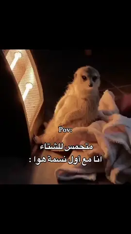 #ضحك😂 #الشعب_الصيني_ماله_حل😂😂 #❤ 