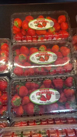 Came for one thing!!! #fyp #traderjoes #groceryhaul #traderjoeshaul 