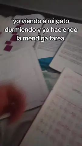 YO DEBERÍA ESTAR DURMIENDO 😭 #fyp #paratii  #tarea #secundariatecnica 