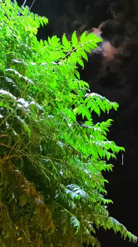 خولان تقبله الله ❤️‍🩹#جرابلس #تصويري📷 #ذكريات #خولان #سوريا_تركيا_العراق_السعودية_الكويت 