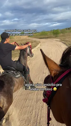 sofrido #fyp #cavalo #foryoupage 