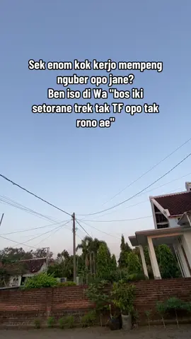 Sezz  #fypシ゚viral #fyppppppppppppppppppppppp #sopirtruck #sopirtruckindonesia🇮🇩 #istrisopir 