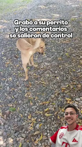 Grabó a su perrito y los comentarios se salieron de control 🤣 #comedia #humor 