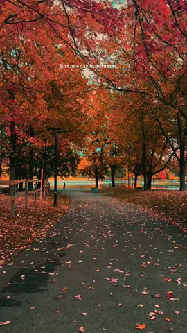 📍 Lac aux castors in Montréal 🦫🍁 #Montreal #fyp #pourtoi 