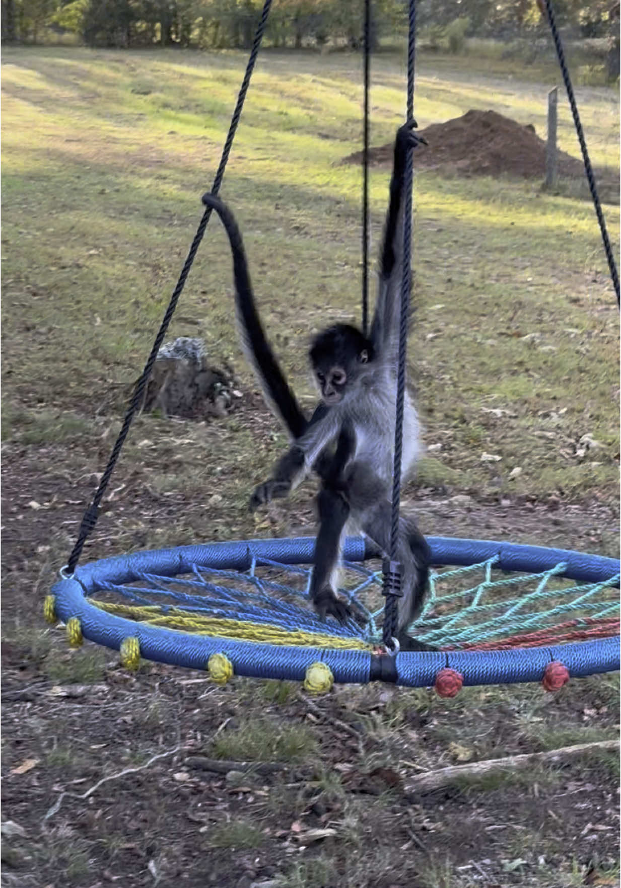 Big fun during monkey nakey time❤️