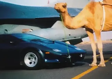 Luxury that only Saudis & Gulf can own #fyp #foryoupage #viral #4u #foruyou 