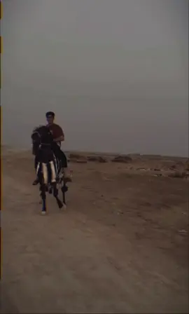 روحي الحمدانيه 🪬            #CapCut #خيل_وخياله🐎 #الحمداينه #الشعب_الصيني_ماله_حل😂😂 #اكسبلور 