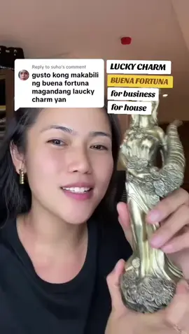 Pampaswerte or lucky charm for business and house 🫶✨ #luckycharm #buenafortuna #buena #fortuna #fy 