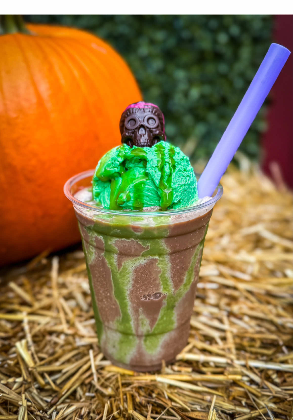 Have you tried our new Monster Mocha? 😈 Find it at the Sweet Apple, located inside our General Store! This frighteningly fun frozen drink features our cold brew coffee (brewed right here on our farm)blended with chocolate milk, topped with house-made whip, white chocolate “slime” drizzle, and a Day of the Dead chocolate skull! 🧋👻🫣 Try it before spooky season ends! #beakandskiff #appleorchard #upstateny #cny #coldbrew 