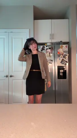 Dress for the job you want (I don’t want a job) 🤠 #outfitinspo #whatiwore #officeoutfit #businesscasual 