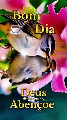 #deusetudo  #deus #motivacional  #reflexaododia  #bomdia 