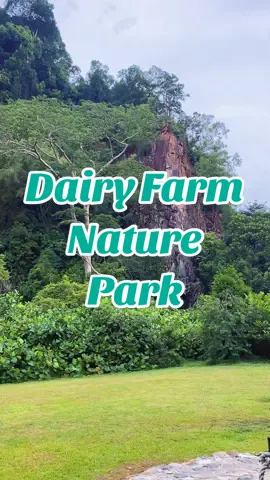 #DairyFarmNaturePark #Singapore 