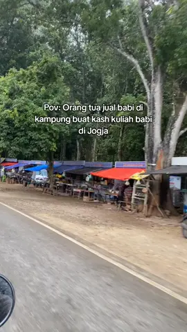 memang babi#jualbabi #kuliah #jogja #kup #fyp 