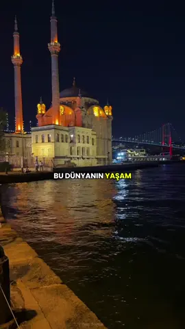 #paslısözlük #reis #sedatpekerr 