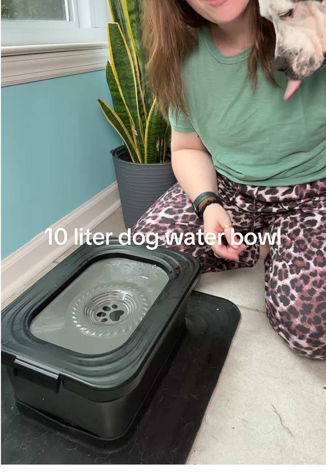 If you’ve got big dogs or more than one—this is your sign to upgrade their water setup 💦 #doglife #doghack 