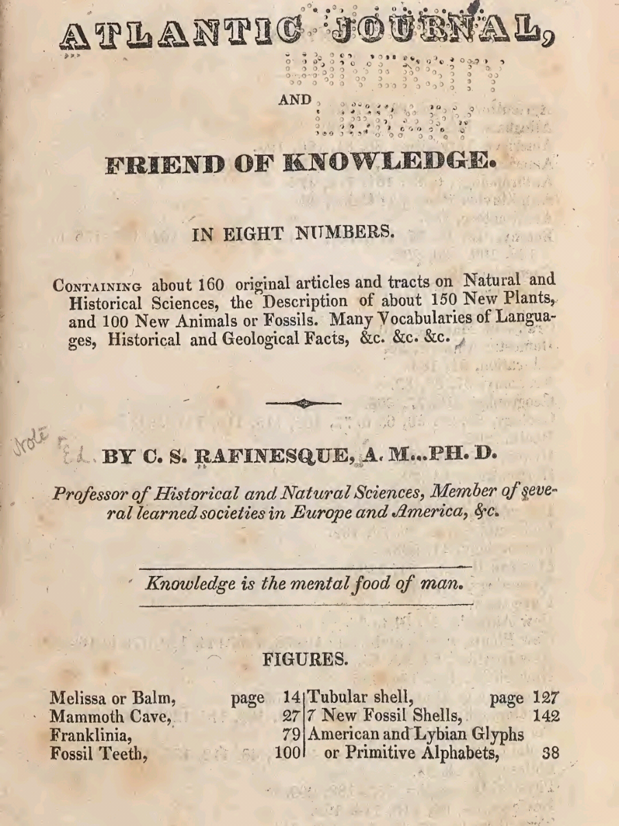 #CapCut Primitive Black Nations In America #BookTok #books #fyp #indigenous 