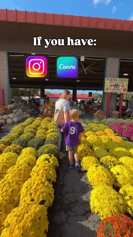 Here’s How 👇🏼 1️⃣ Use ChatGPT to spark ideas Prompt example: 💬 “Give me 5 digital product ideas for [your niche] that solve a real problem.” You’ll get outlines, structure, and even content ideas in minutes! 2️⃣ Use Canva to bring it to life Design tools like Canva make it simple to create: • Digital planners • Templates • Ebooks • Guides • Swipe files No fancy design skills needed — just drag, drop, and customize. 3️⃣ Use Instagram to share + grow Post short, valuable videos that: • Hook attention fast • Teach something helpful • Guide people to learn more via your bio link 💡The best part? These tools are free, and your potential reach is limitless when you stay consistent. If you’d like a free step-by-step video that breaks this all down, comment “INFO” and I’ll send it over. 🎥 ⚠️ Disclaimer: This is not a get-rich-quick program. Results vary and depend on your effort, consistency, and the time you invest.