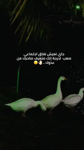 🤚🏻😂 #شعب_الصيني_ماله_حل😂😂 #مقصوده_وبقوة😂👌🏻🔥 #اكسبلورexplore #لايك #هههههههههههههههههههههههههههههههههههههه 
