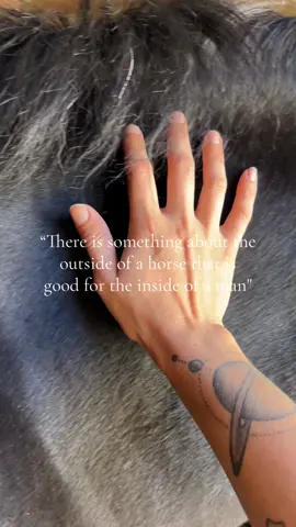 regulating my nervous system #horses #equestrian #horsegirl #horsetherapy #thoroughbred 