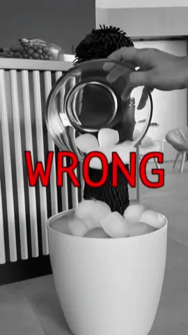 Meet my little house haunt 👻🪴 — low light, high drama. #plantapp #plantcare #planthacks #halloween #indoorplants