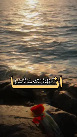 #في هذا اليوم 