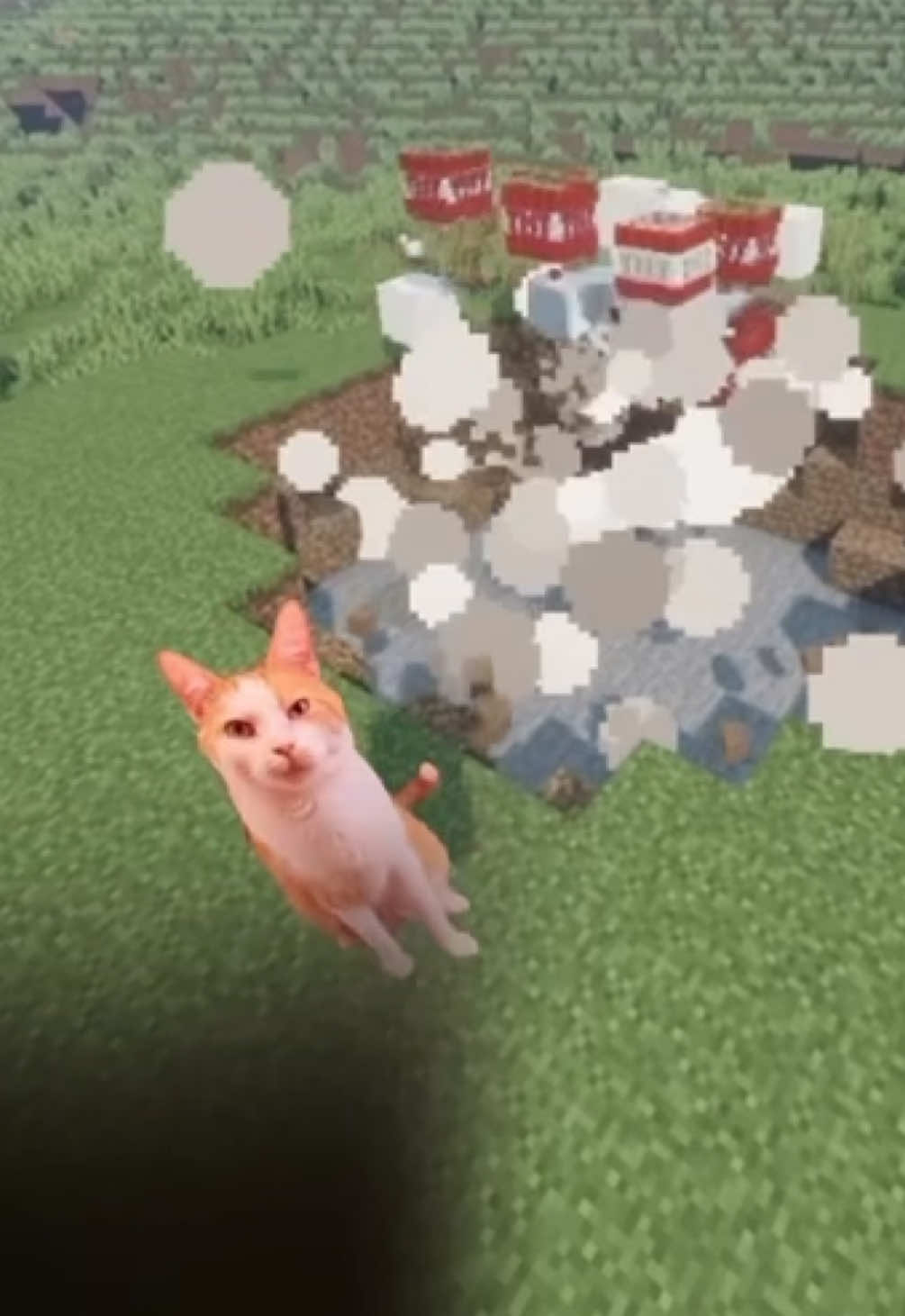 what the scallops did evil larry do to chill cat guys minecraft dirt house 😱😱 #catmemes #sillycats #Minecraft #catsoftiktok #funnycats 