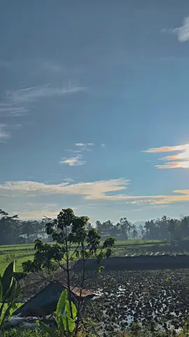 Sunrice depan Mts Daarussalaam kuta#sunrice #masukberandafyp #fyppppppppppppppppppppppp #mtskuta #mtsdaarussalaamkutabelik 