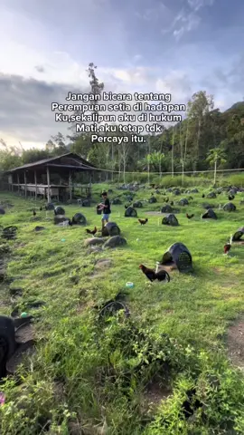 #markofolo #enrekang 