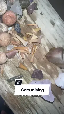 We love it here💕 #lostmine #pigeonforge #easttennessee #viral #creatorsearchinsights 