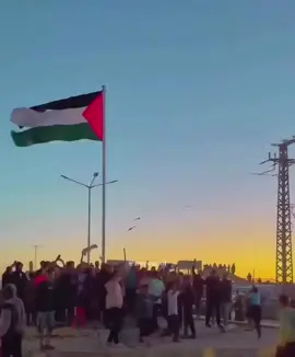 الحمد لله وقفت الحرب علئ غزة بس في أشي! سمحينا يغزة سامحونا يا أهل غزة… كنا نرى الدخان يعلو سماءكم ونكتب منشورًا… ثم نكمل يومنا سامحونا… أنتم كنتم تحرسون الكرامة بصدوركم ونحن نحرس العجز بصمتنا سامحونا… لأن دماءكم سالت ونحن ما زلنا نبحث عن كلمات تواسيها أنتم الذين قاتلتم نيابةً عنّا وصبرتم عنّا وثبتم عنّا وسامحنا الله… على أمةٍ نامت، وما استيقظت حتى على صراخكم #غزة #حسابي_ديني#فلسطين 