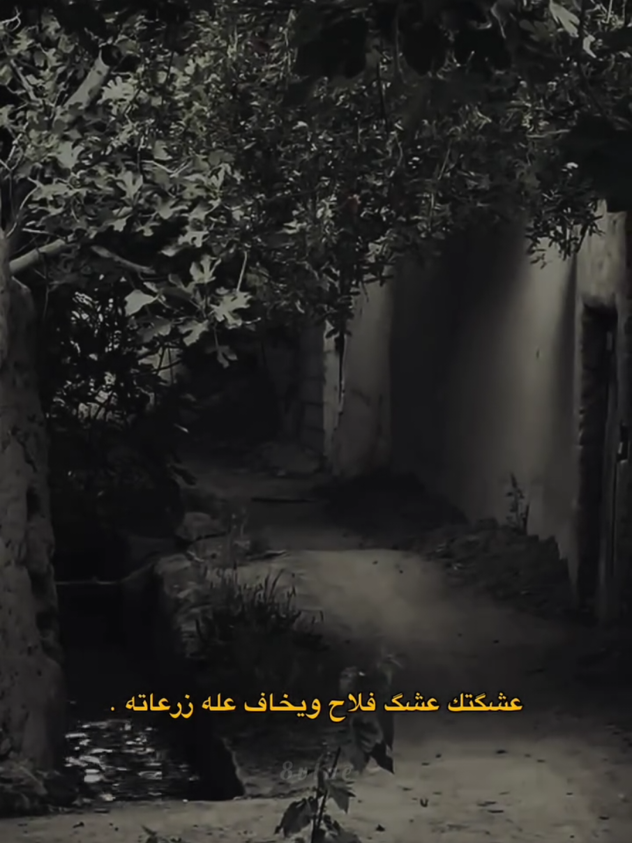 #متابعة #جبراتت📮١6_حزينfypシシ #حب #اعادة_النشر🔃 #fyp 