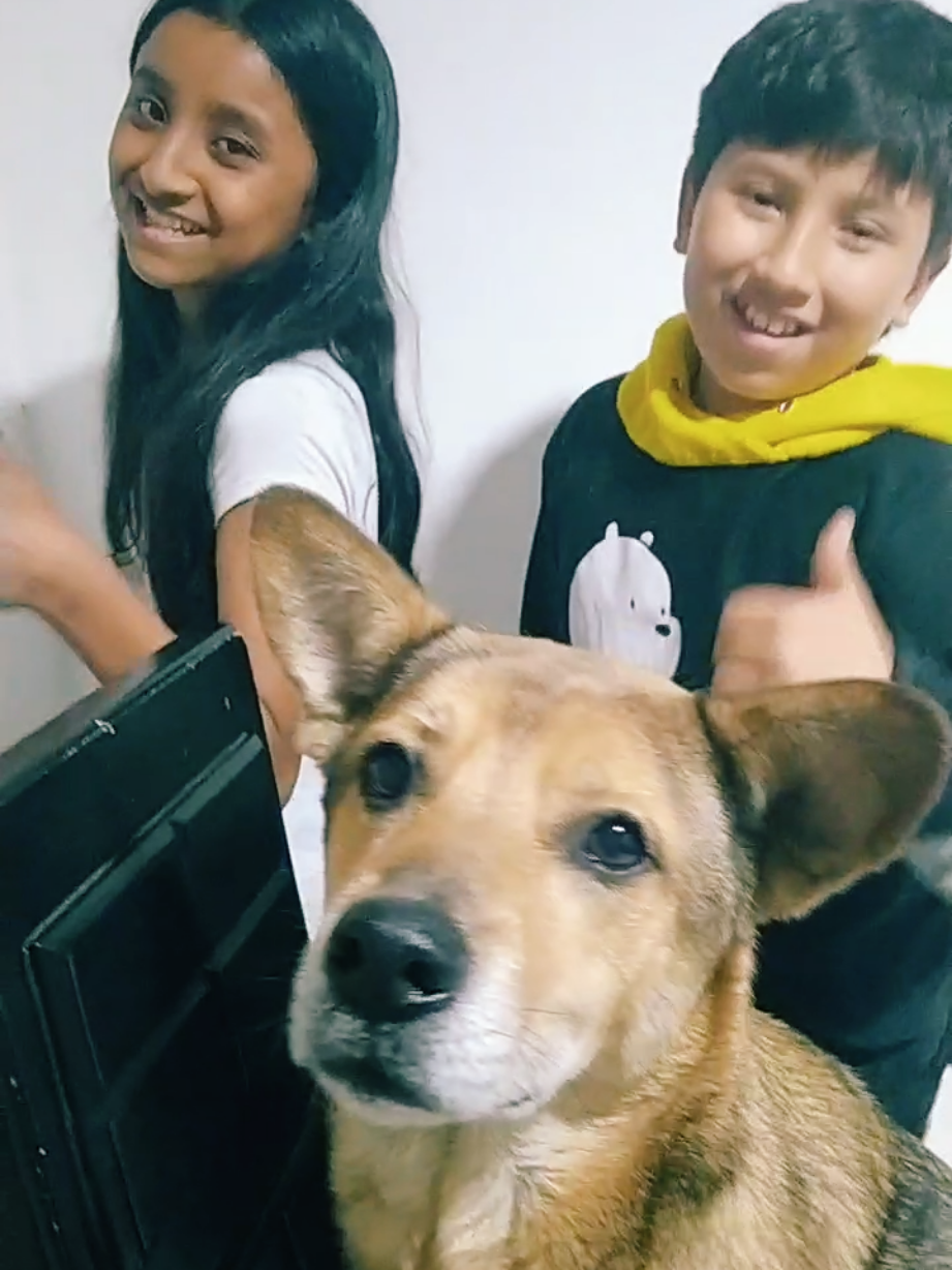 Laiki trend con nuestra mascota 🐕#mascotas #mascotasdetiktok   #laikipiatiktokers❣️❣️ #estebanymichelaventuras #familia 