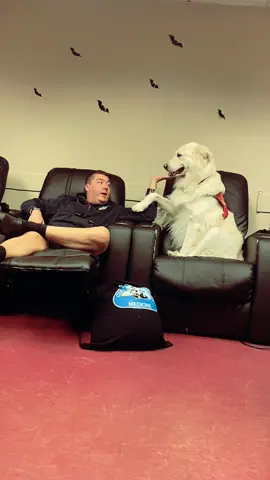 Today at Scott Township EMS 💙 … @firstrespondertherapydogs  … #zion #therapydog #pittsburgh #ems #firstresponders 