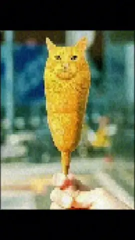 just a bite pls 😼🙀 #cat #viral #fyp #meme 