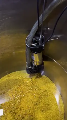 Every gram tells a story of trust, effort, and authenticity. From gold dust to solid bars — verified, tested, and true. DRC Gold Ventures Ltd — your trusted gold partner in Africa. #GoldInvestment #GoldProcessing #GoldBars #DRCGoldVentures #AfricanGold 