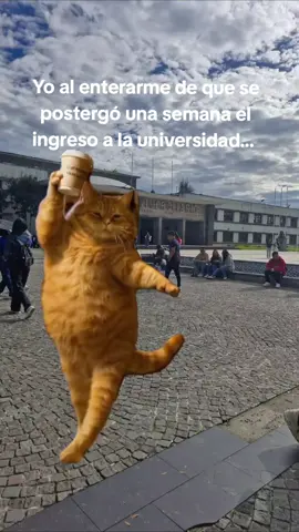 una semanita más de paz 🙂‍↕️#uce #ingresoaclases #quito #fypシ゚  #paratiiiiiiiiiiiiiiiiiiiiiiiiiiiiiii 