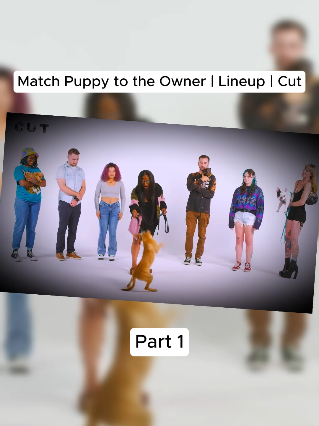 Match Puppy to the Owner | Lineup | Cut