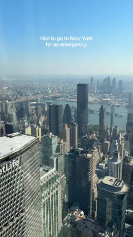 When the city calls… 🗽✨🫶 #fyp #city #newyork #post #viral 
