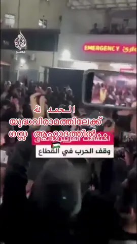 الحمد لله  യുദ്ധവിരാമത്തിലേക്ക്   ഗസ്സ ആഹ്ലാദത്തിൽ..🇵🇸 #palestine 