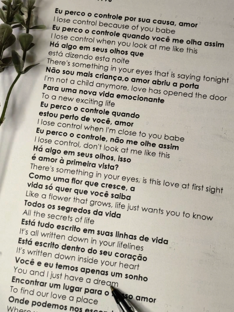 Entre promessas e eternidade, You and I do Scorpions lembra que o amor verdadeiro resiste ao tempo e ao destino. 💫❤️🎶. #scorpions #anos90 #letrasdemusicas #traducao #fyp 