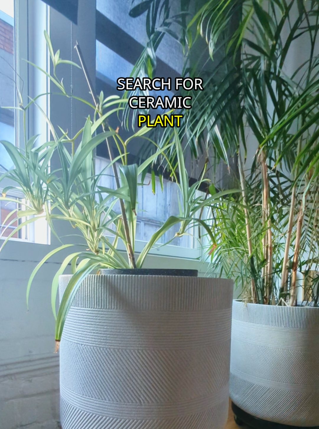 Ceramic plant holders really add drama to this minimalist space without being overwhelming #interiordesign #minimalist #plantparents #plantholders @Gaza.myfamily 