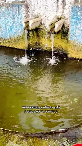 Santo Antonio🥰