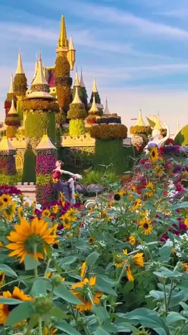 قريباً بوليفارد فلاورز في موسم الرياض …  . #بوليفارد_فلاورز #بوليفارد #موسم_الرياض2025 