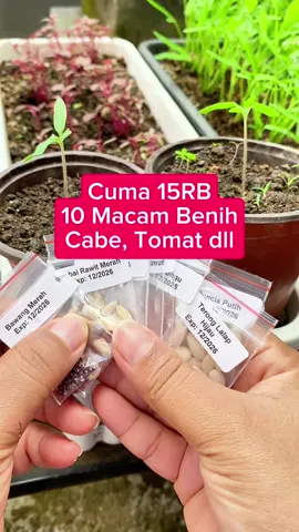 Paket 10 macam benih sayuran buah isinya ada benih cabai rawit hijau, cabai rawit merah, tomat sayur merah, tomat cherry mini chung, terong lalap hijau, terong lalap ungu, buncis putih, timun lalap, kacang panjang dan bawang merah. Che kenapa yuk. #benihsayuran  #benihsayuranmurah  #belilokal  #berkebundirumahaja  #benihseribuan 