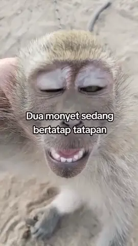 #funny #fyp #humor #fanpage #viralvideo 